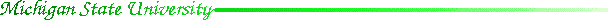 line_msu.gif (1311 bytes)